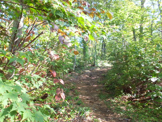 a0271502_1615688.jpg