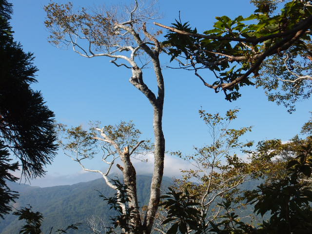 銚子ヶ峰①　～白山登山口南縦走路～_a0271502_16181173.jpg