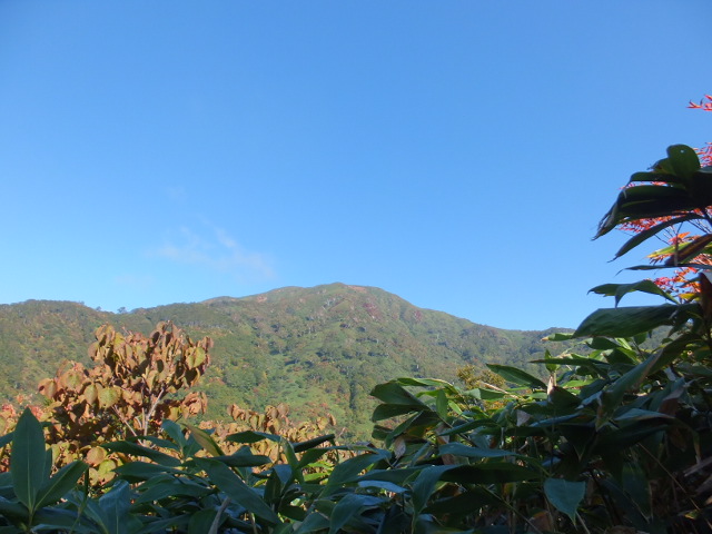 銚子ヶ峰①　～白山登山口南縦走路～_a0271502_16222942.jpg