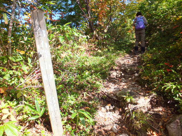 銚子ヶ峰①　～白山登山口南縦走路～_a0271502_16552044.jpg