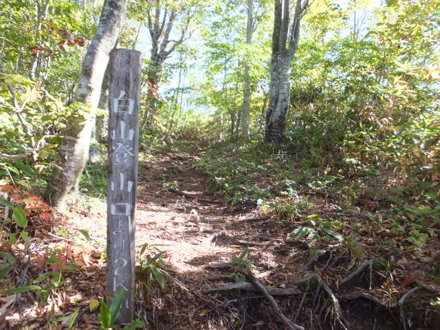 銚子ヶ峰①　～白山登山口南縦走路～_a0271502_1683749.jpg