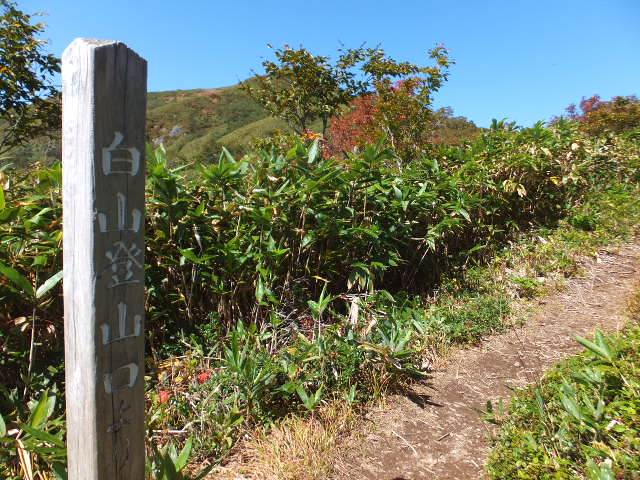 銚子ヶ峰①　～白山登山口南縦走路～_a0271502_1764883.jpg