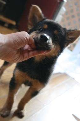 はじめまして!(えみ)_f0242002_701867.jpg