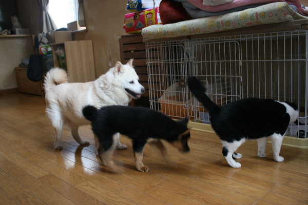 はじめまして!(えみ)_f0242002_731114.jpg