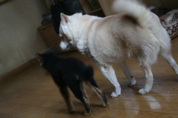 はじめまして!(えみ)_f0242002_73269.jpg