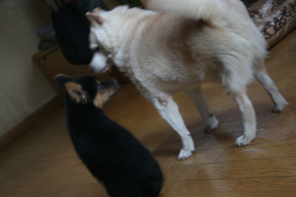 はじめまして!(えみ)_f0242002_733855.jpg