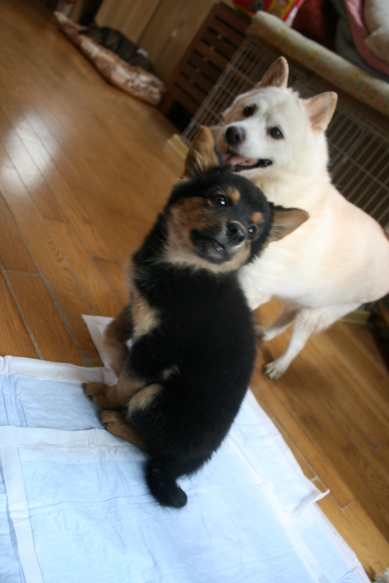 はじめまして!(えみ)_f0242002_735243.jpg