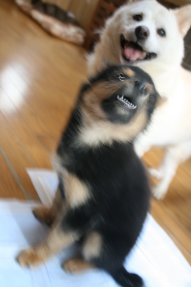 はじめまして!(えみ)_f0242002_742025.jpg