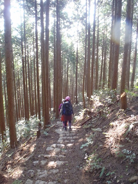  山婆会「犬鳴山」葛城山〜美人の湯_b0326303_22164220.jpg