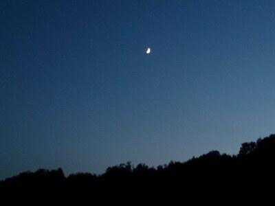 e0252905_4144218.jpg