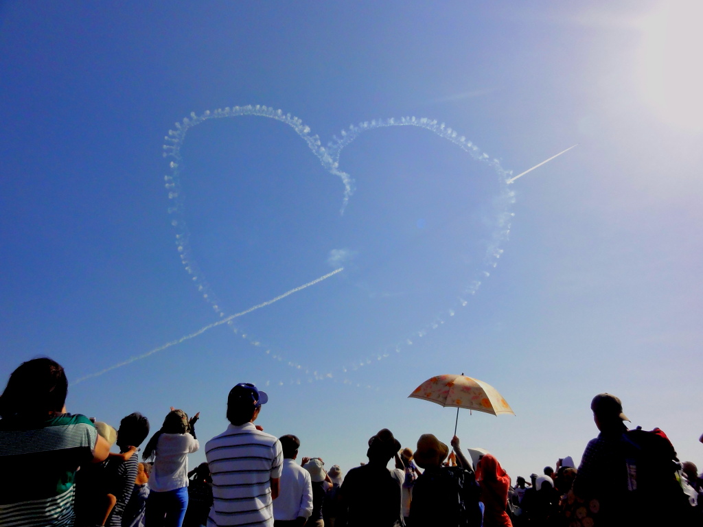 浜松基地航空祭14 その5 ブルー インパルス つづき 鳥と花の写真集２