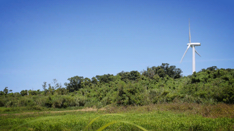 目次(POC+現代音楽関連)_c0050810_6142935.gif