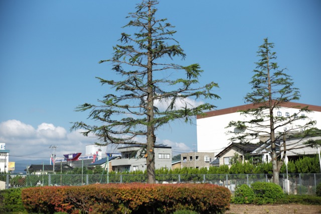 d0192712_9484722.jpg