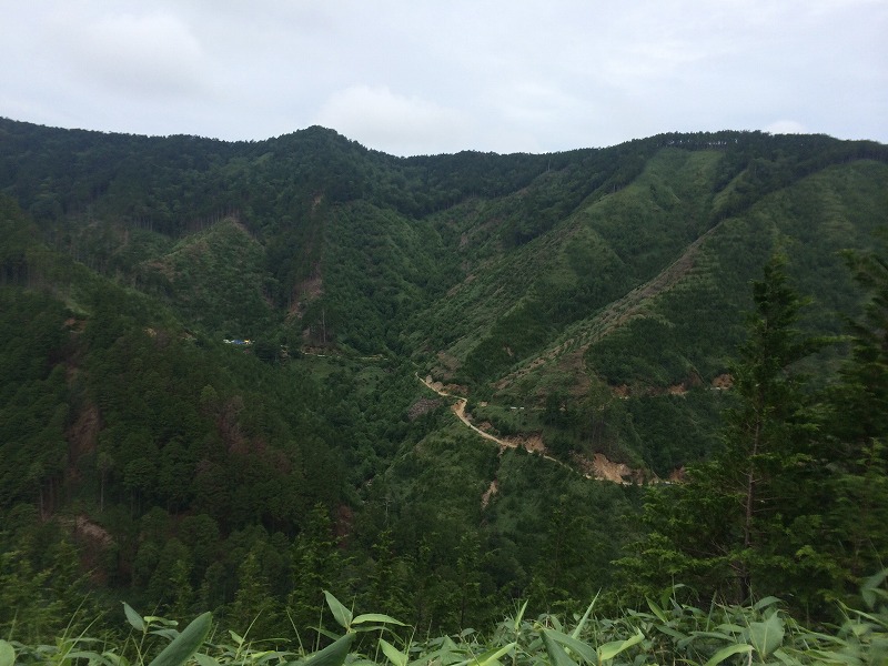 c0337813_1914117.jpg