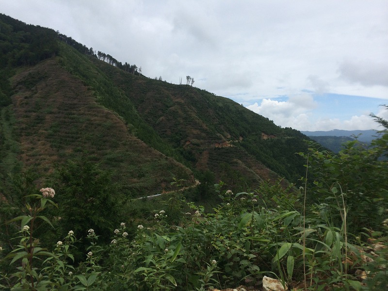 c0337813_1914193.jpg