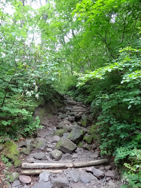 c0337813_19161326.jpg