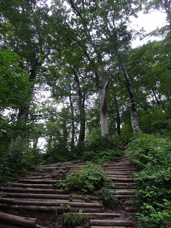 c0337813_19161416.jpg