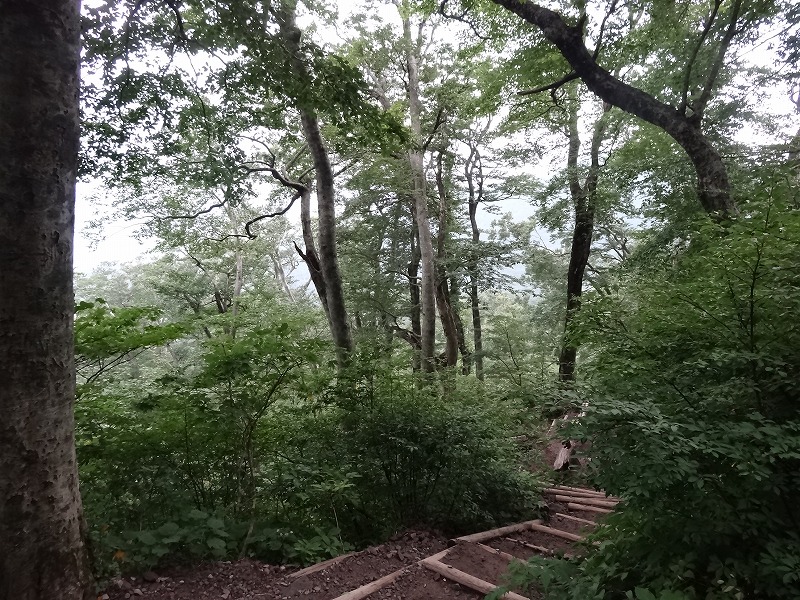 c0337813_19161783.jpg