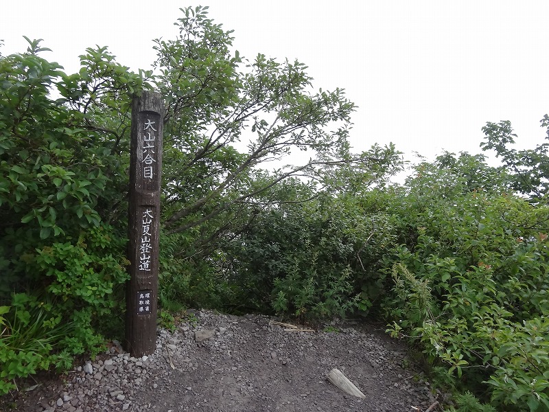 c0337813_1916221.jpg