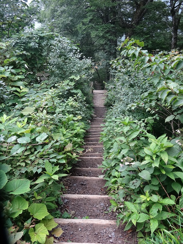 c0337813_19163175.jpg