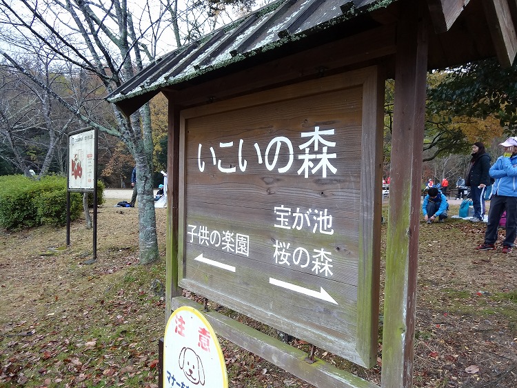c0337813_20105511.jpg