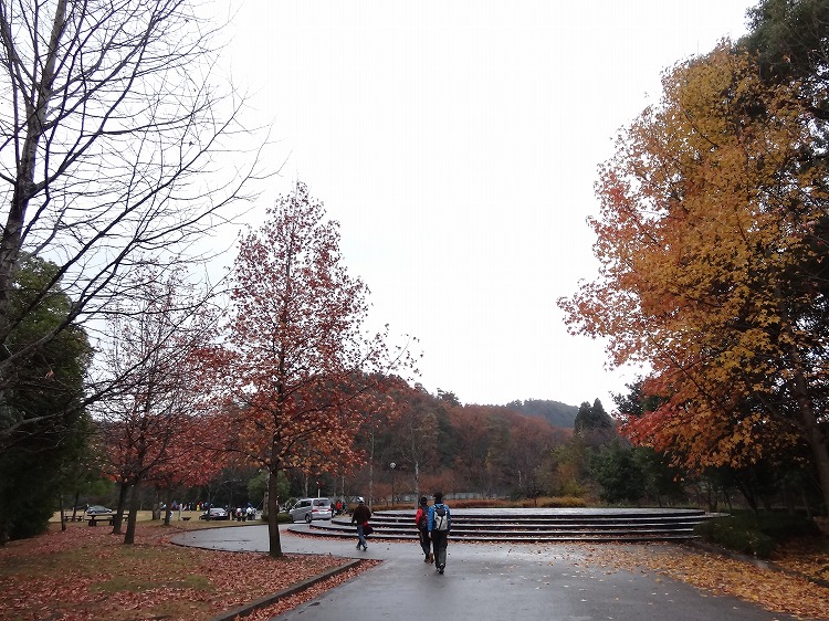 c0337813_20105559.jpg