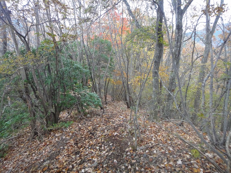 c0337813_21101584.jpg