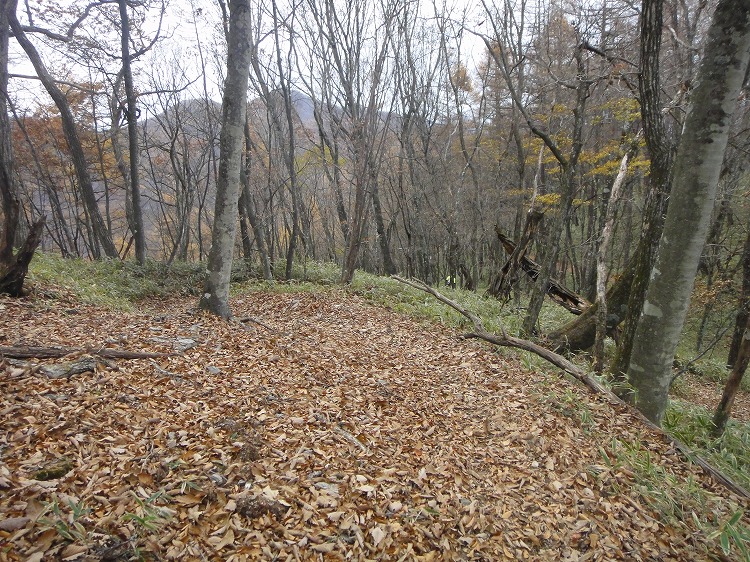 c0337813_21102078.jpg