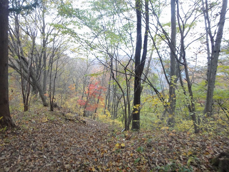 c0337813_21102165.jpg