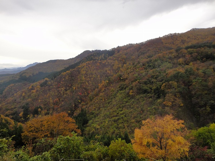 c0337813_21102572.jpg