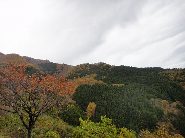c0337813_21102769.jpg