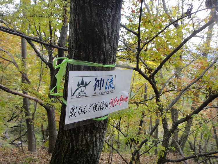 c0337813_21102879.jpg