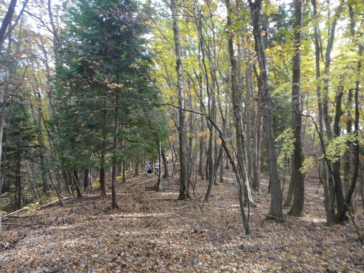 c0337813_21102934.jpg