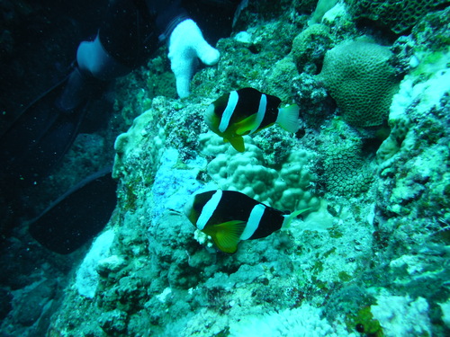 e0180515_19203927.jpg