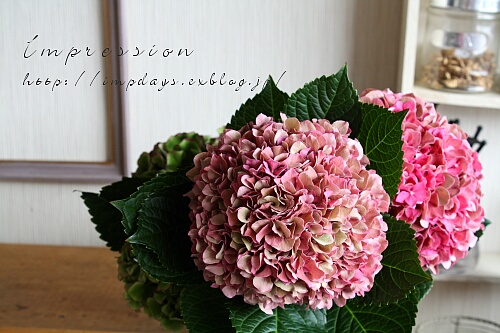 アンティーク紫陽花 Impression Days