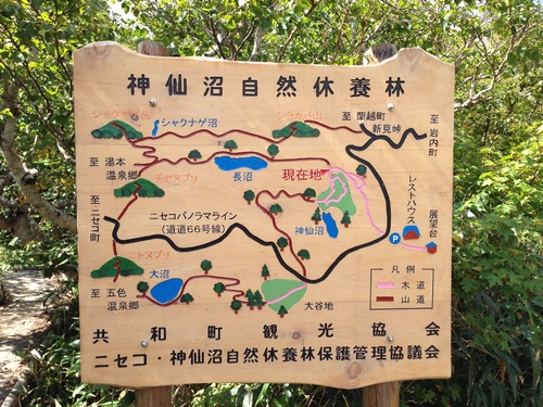 e0224118_205243.jpg
