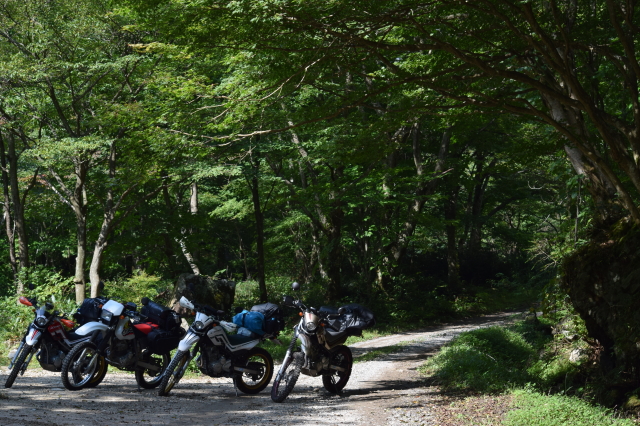f0248120_20103510.jpg