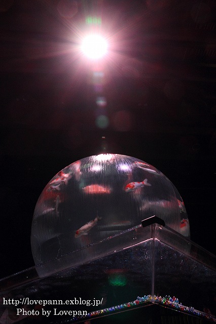 c0136926_21152588.jpg