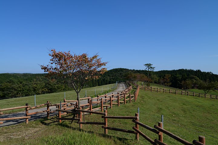 2014年10月2日　秋が深まりゆく県営牧場_b0134829_10204289.jpg