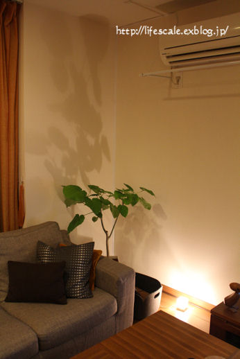 f0329331_22100177.jpg