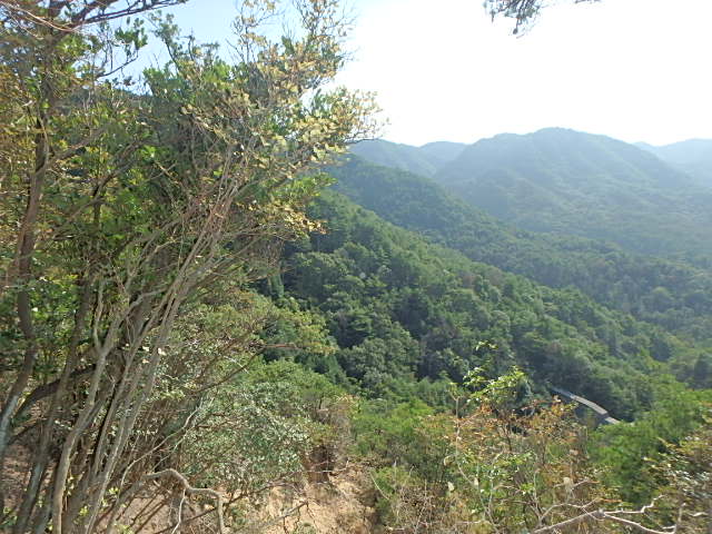 f0334143_2030342.jpg