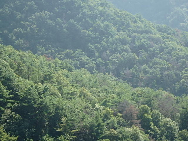 f0334143_20305849.jpg