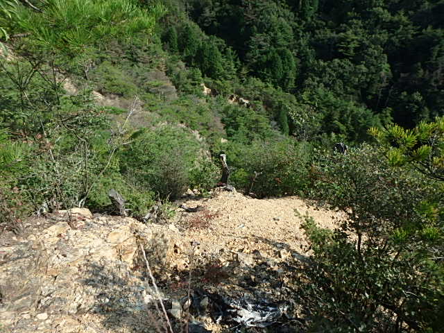 f0334143_20312445.jpg