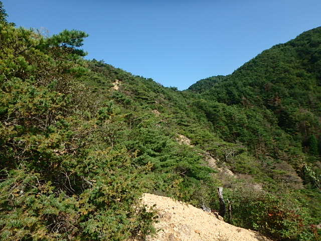 f0334143_20314094.jpg