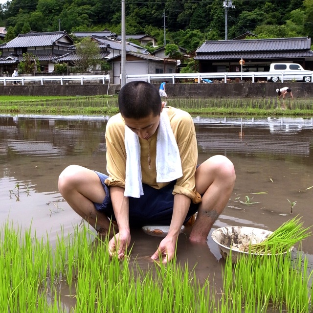 稲刈りツアー　in  岡山_c0226146_1631840.jpg