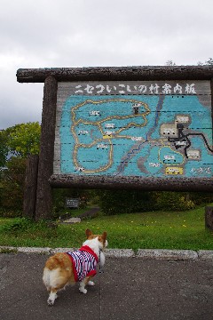 f0045846_15443347.jpg