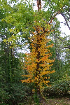 f0045846_15451454.jpg