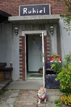 f0045846_15454088.jpg