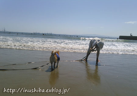 yamato、初めての海は\"内海海岸\"へ @愛知県知多郡_a0286855_10594679.jpg