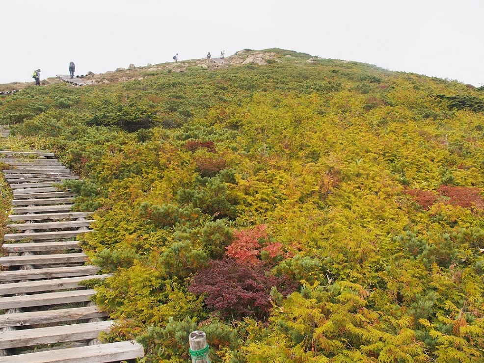 尾瀬笠ヶ岳 ＆ 至仏山 ( 2014.9.14~15 ) ②_b0335256_22043514.jpg